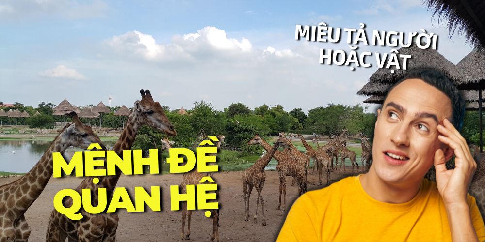 500-cau-ngu-phap-menh-de-quan-he-trong-tieng-anh-1